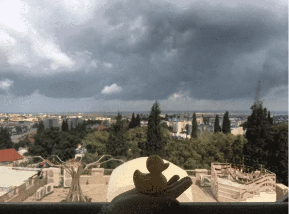 Weekly Updates - Tel Aviv Feb 26, 2016 14 Duck