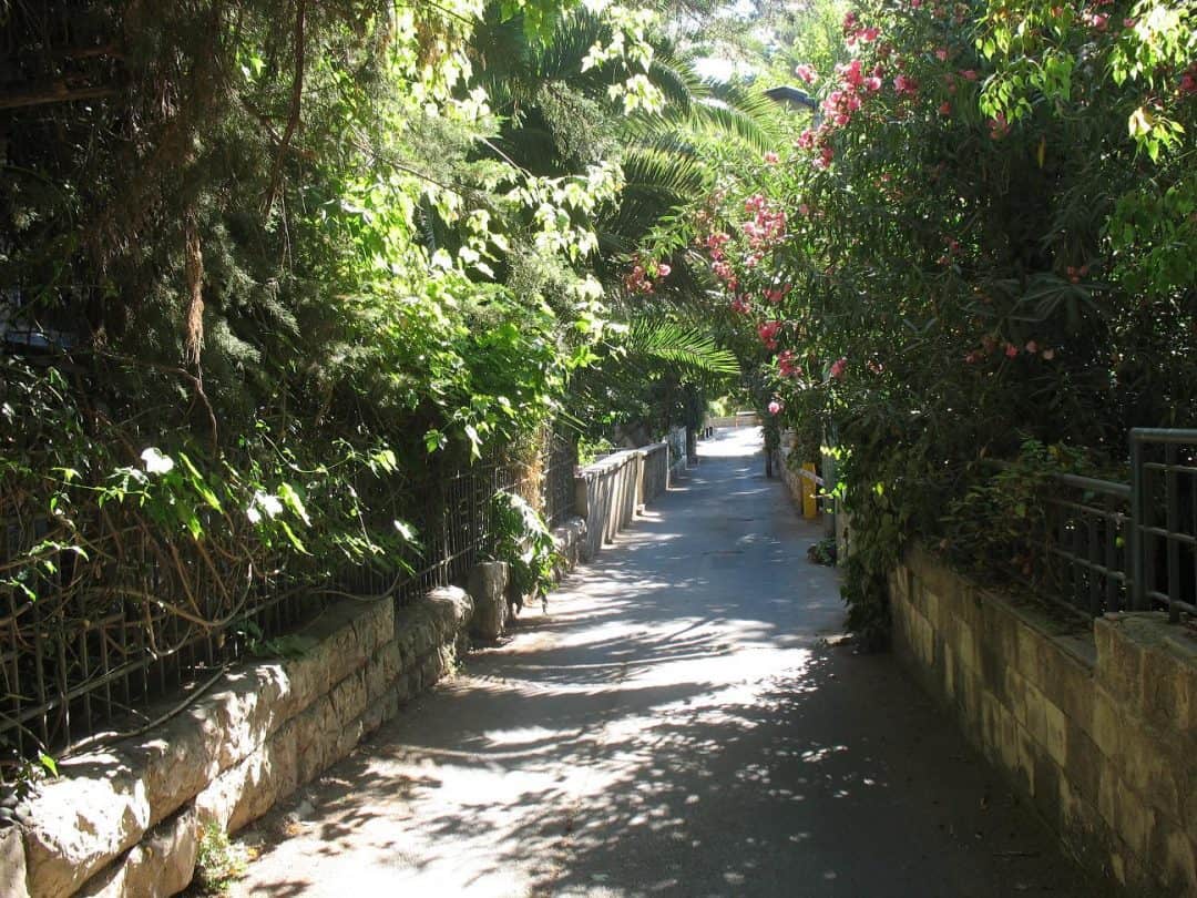 Exploring Jerusalem’s Rehavia Neighbourhood - Aardvark Israel