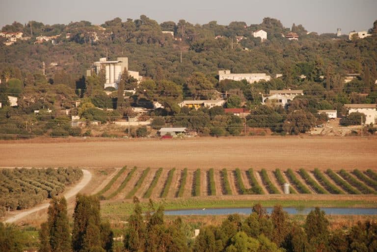 Life on a Kibbutz - Aardvark Israel