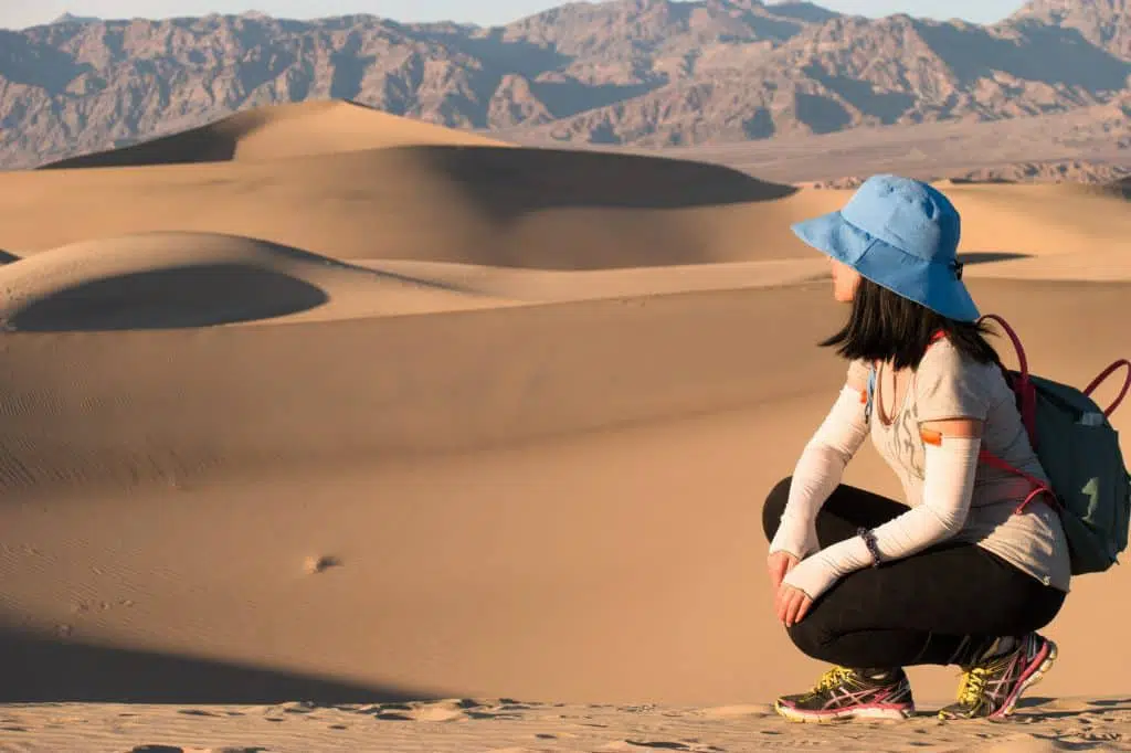 Israel’s Desert Animals 10 Israel’s desert animals