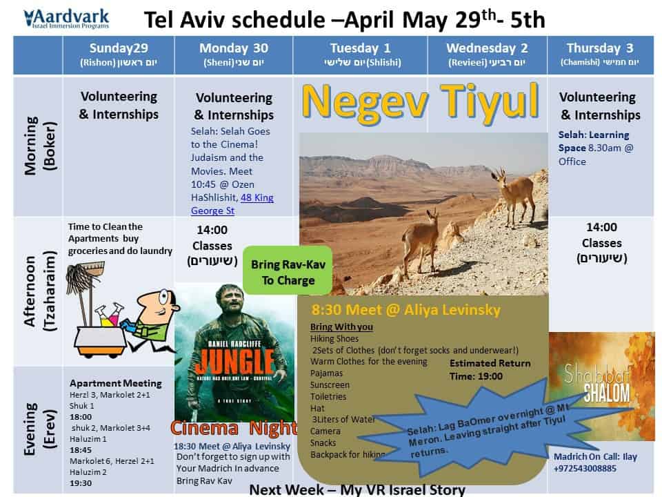 Gap Year in Israel - AardvarkIsrael