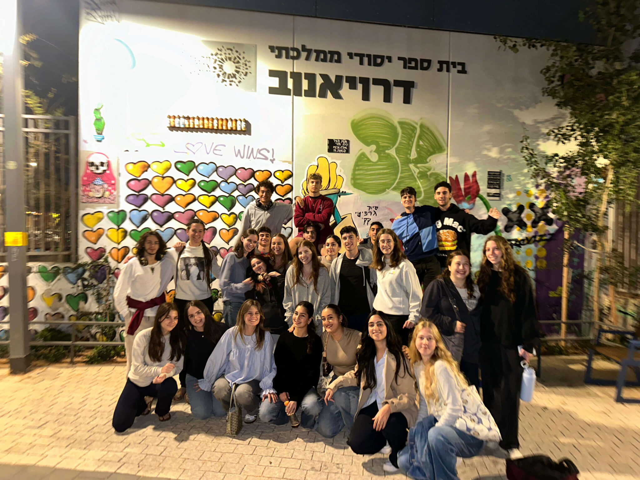 Gap year in israel - aardvarkisrael