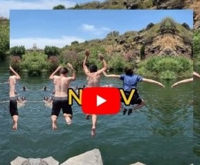 Gap year in israel - aardvarkisrael
